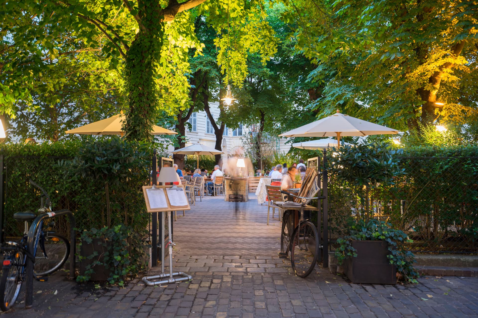 Event location Vienna - Hidden courtyard garden with trees and parasols for weddings, corporate events and birthdays at Café Diglas Schottenstift